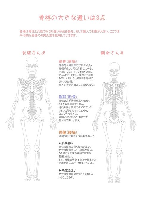 女装男子のためのボディメイクの教科書｜もやし